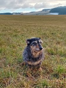 So schön wir das Frühjahr